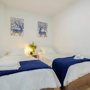 Apartment Genesis In *